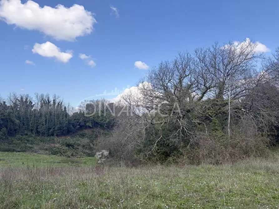 Immagine 41 di Rustico / casale in vendita  a Fauglia