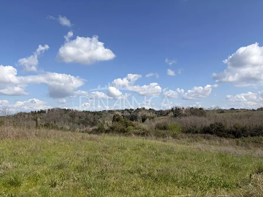 Immagine 41 di Rustico / casale in vendita  a Fauglia