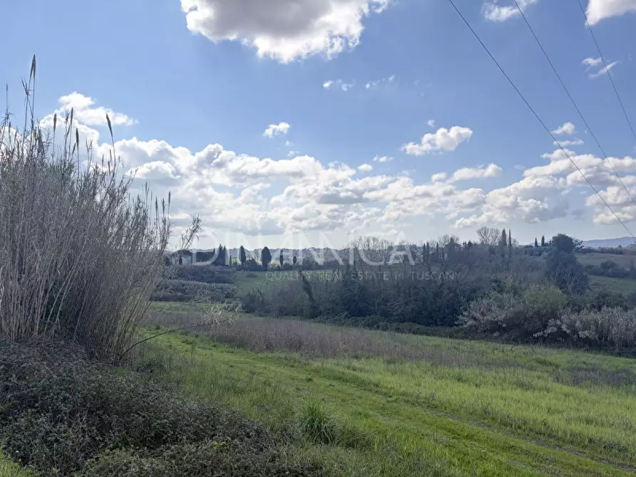 Immagine 43 di Rustico / casale in vendita  a Fauglia