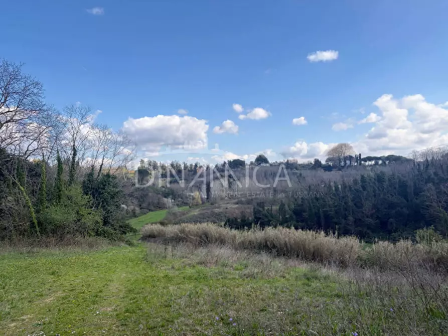 Immagine 44 di Rustico / casale in vendita  a Fauglia