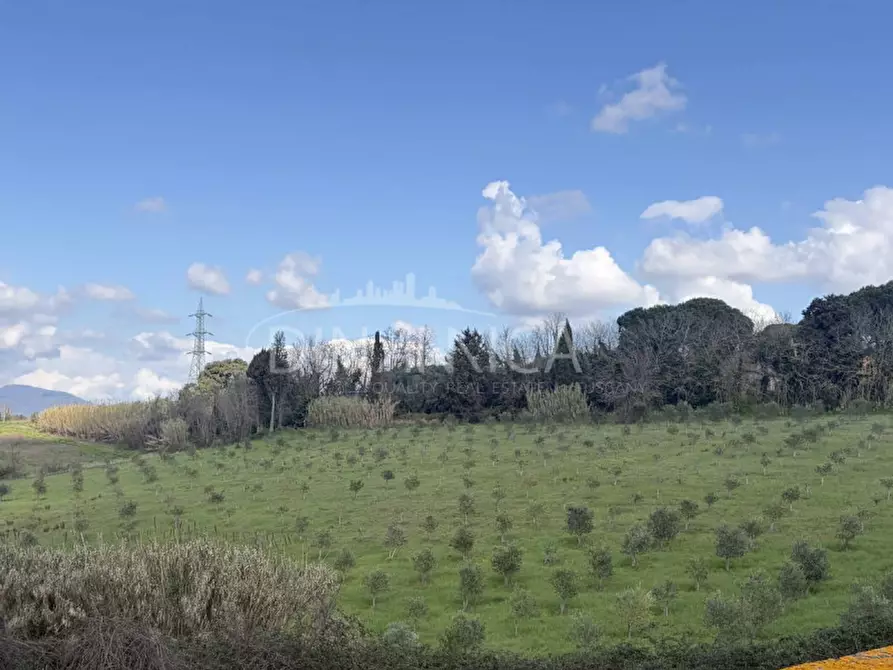 Immagine 46 di Rustico / casale in vendita  a Fauglia