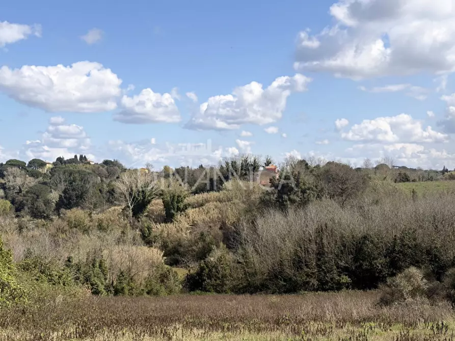 Immagine 48 di Rustico / casale in vendita  a Fauglia