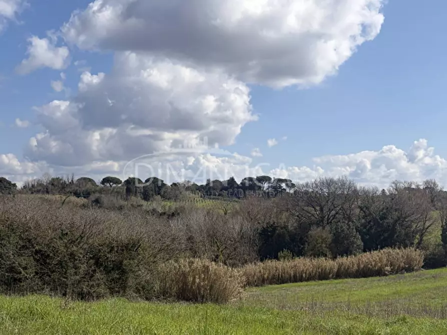 Immagine 49 di Rustico / casale in vendita  a Fauglia