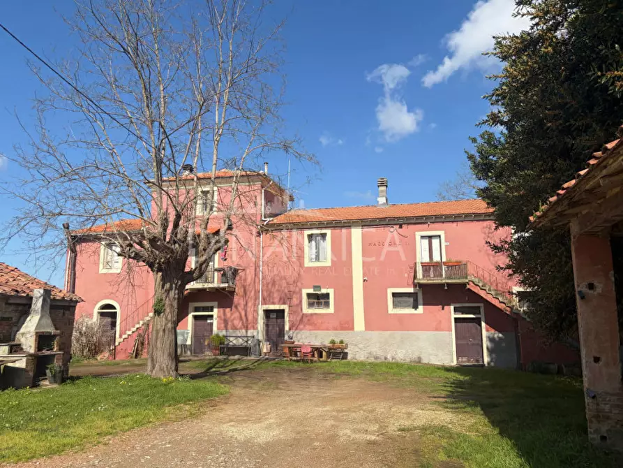 Immagine 51 di Rustico / casale in vendita  a Fauglia