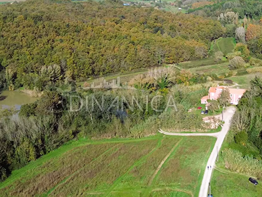 Immagine 53 di Rustico / casale in vendita  a Fauglia