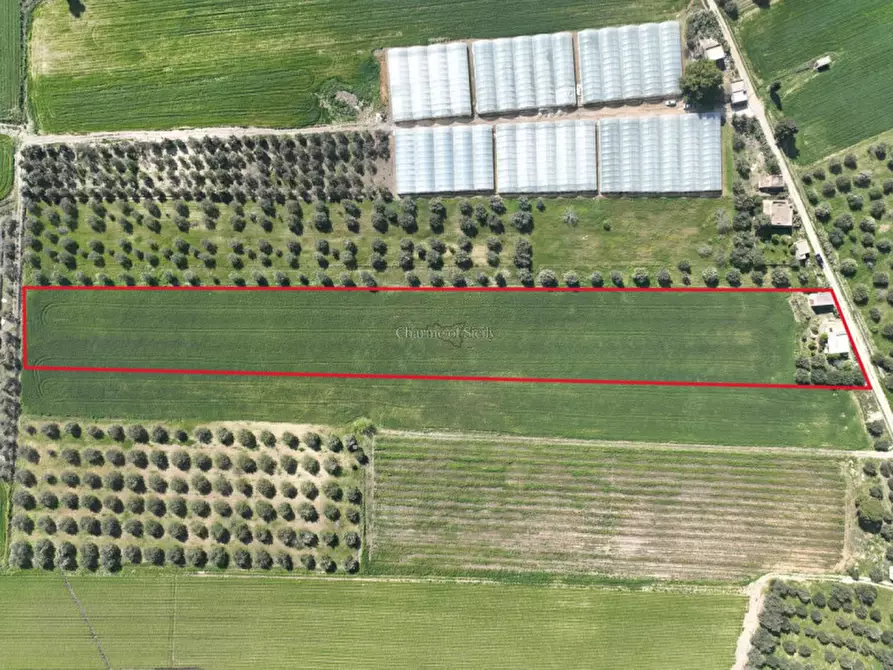 Immagine 3 di Casa indipendente in vendita  in Contrada Bonivini a Noto