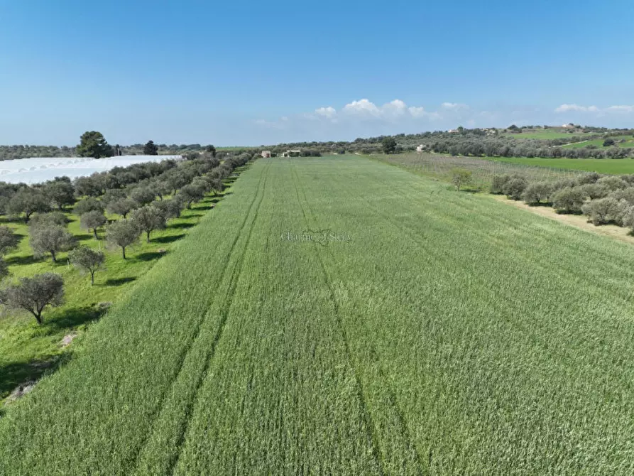 Immagine 5 di Casa indipendente in vendita  in Contrada Bonivini a Noto