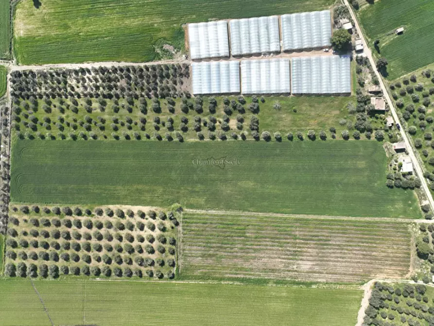 Immagine 12 di Casa indipendente in vendita  in Contrada Bonivini a Noto