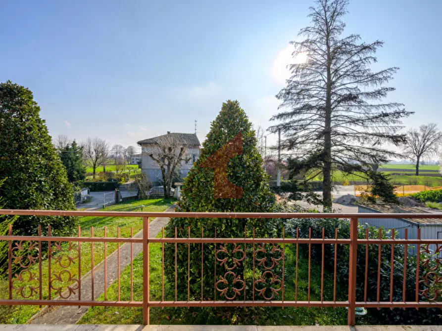 Immagine 78 di Villa in vendita  in località casalbarbato a Fontanellato