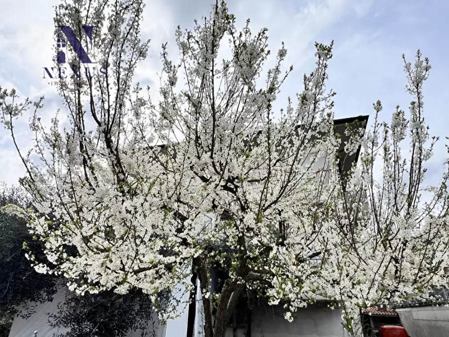 Immagine 33 di Villetta a schiera in vendita  in Viale della libertà a Monte Porzio