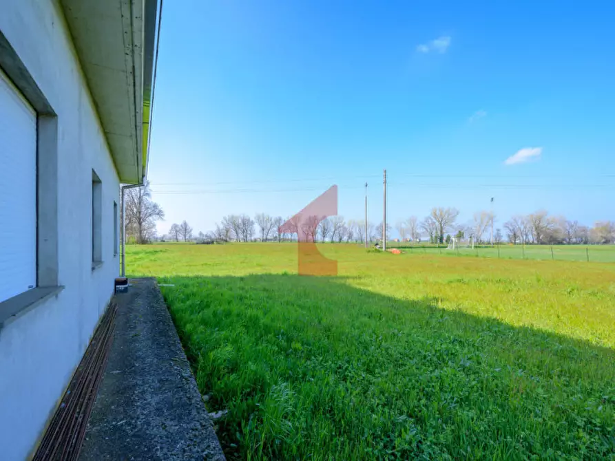 Immagine 11 di Villa in vendita  in località casalbarbato a Fontanellato