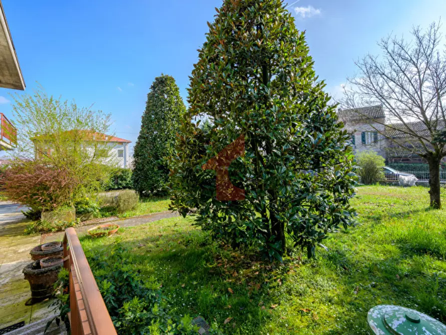 Immagine 22 di Villa in vendita  in località casalbarbato a Fontanellato