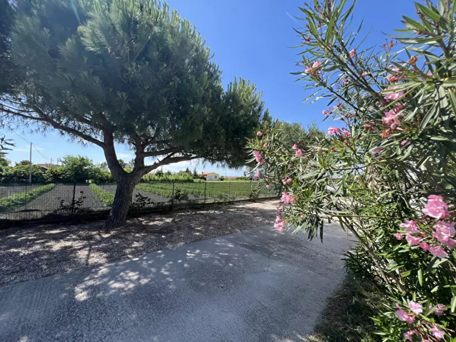 Immagine 6 di Casa indipendente in vendita  in Via Primo Maggio a Chioggia