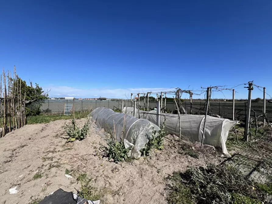 Immagine 14 di Casa indipendente in vendita  in Via Primo Maggio a Chioggia
