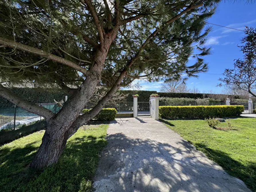 Immagine 24 di Casa indipendente in vendita  in Via Primo Maggio a Chioggia