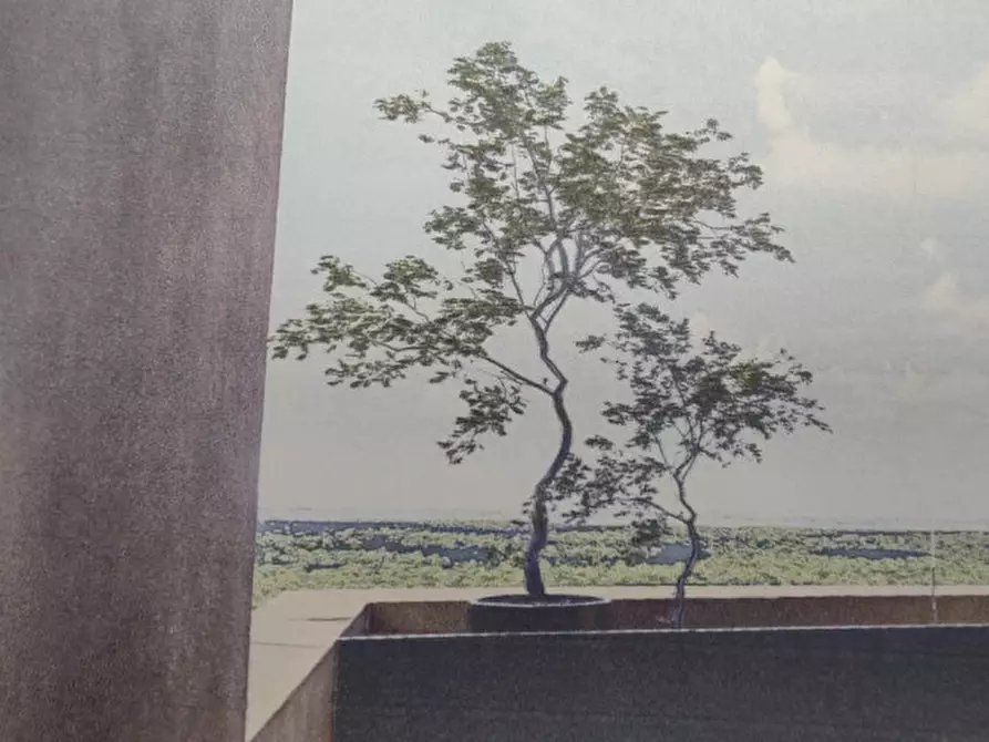 Immagine 2 di Terreno in vendita  in Via SP 86 a Torchiara