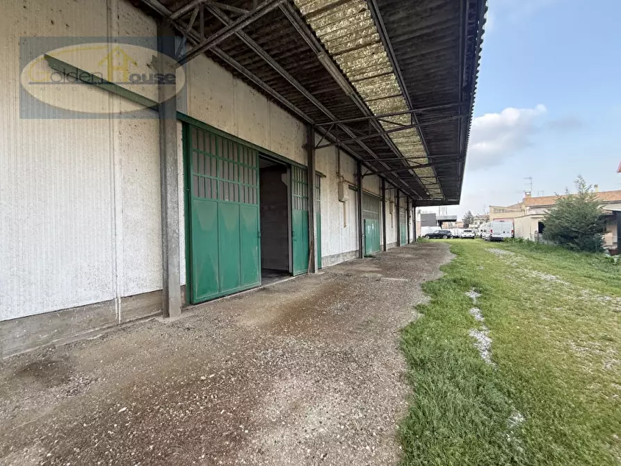 Immagine 26 di Capannone industriale in vendita  in Via Giotto 3-5 a Molinella