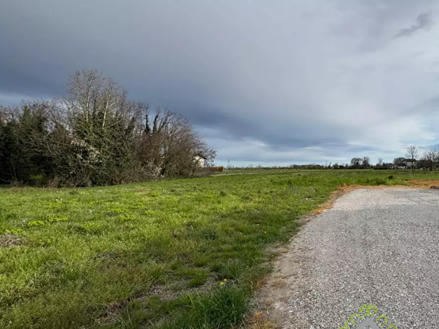 Immagine 2 di Terreno in vendita  in Via Dolo a Stra