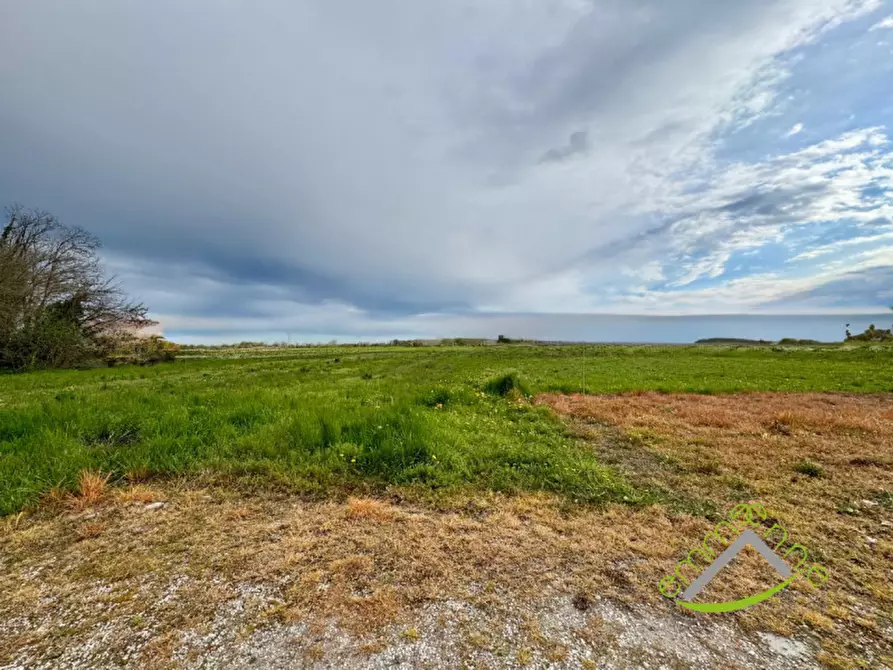 Immagine 4 di Terreno in vendita  in Via Dolo a Stra