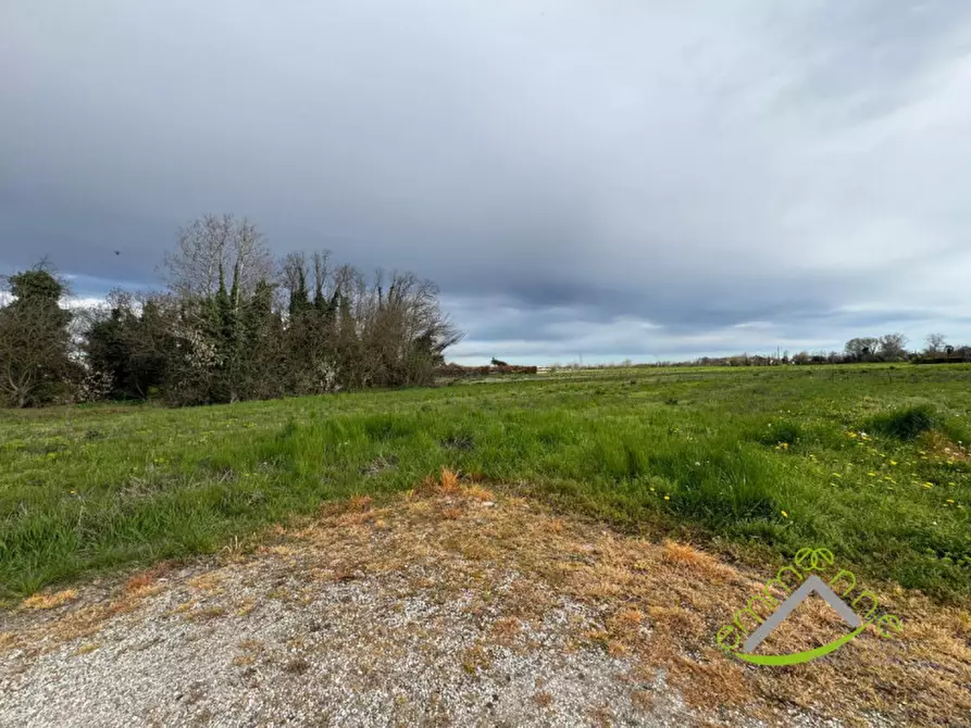 Immagine 5 di Terreno in vendita  in Via Dolo a Stra