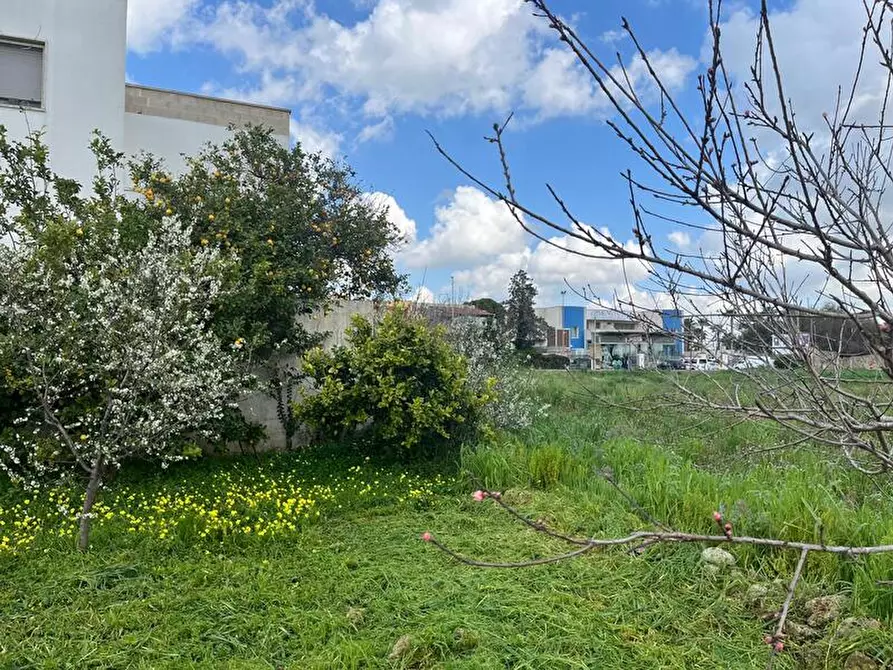 Immagine 2 di Terreno in vendita  in Via Vittorio Emanuele III a Ruffano