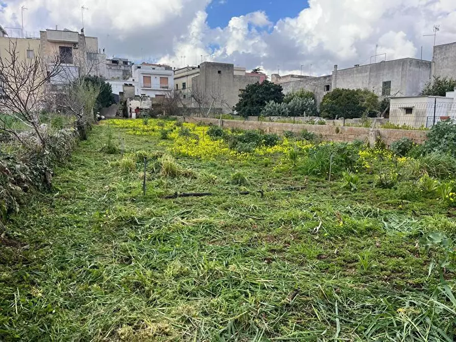 Immagine 3 di Terreno in vendita  in Via Vittorio Emanuele III a Ruffano