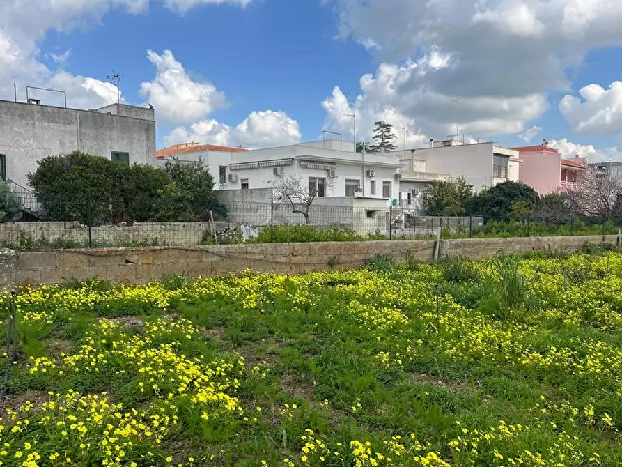 Immagine 5 di Terreno in vendita  in Via Vittorio Emanuele III a Ruffano