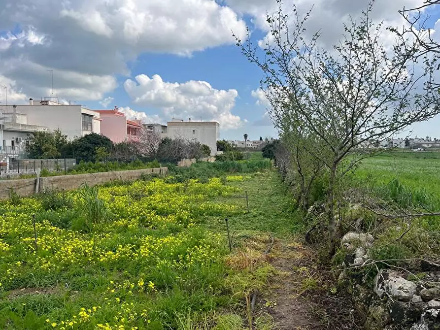 Immagine 11 di Terreno in vendita  in Via Vittorio Emanuele III a Ruffano