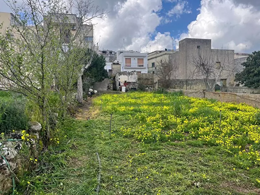 Immagine 12 di Terreno in vendita  in Via Vittorio Emanuele III a Ruffano