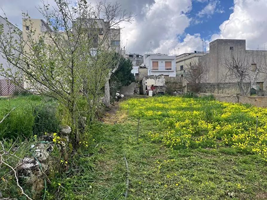 Immagine 13 di Terreno in vendita  in Via Vittorio Emanuele III a Ruffano