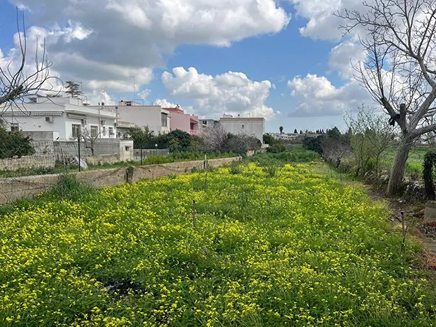 Immagine 14 di Terreno in vendita  in Via Vittorio Emanuele III a Ruffano