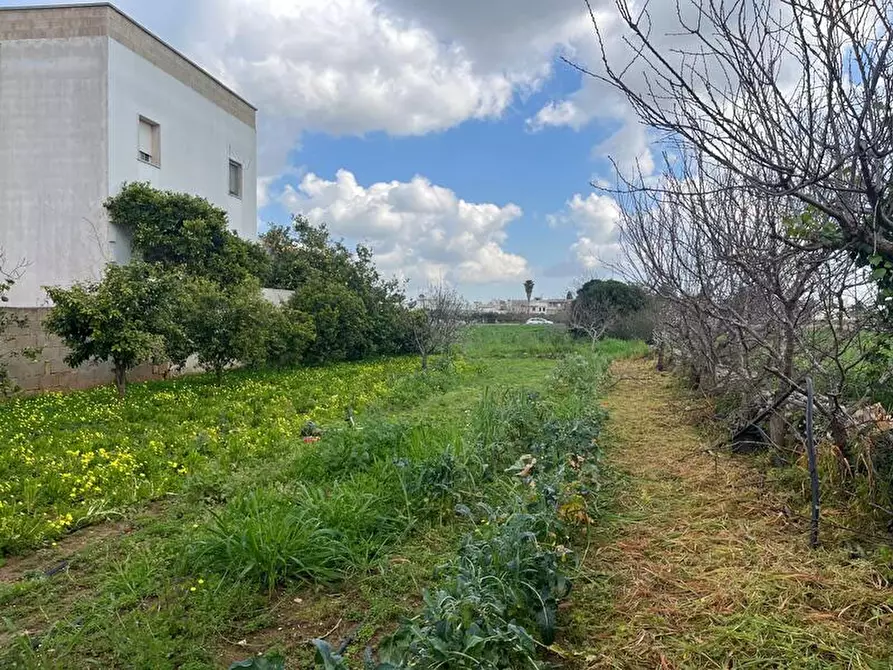 Immagine 15 di Terreno in vendita  in Via Vittorio Emanuele III a Ruffano