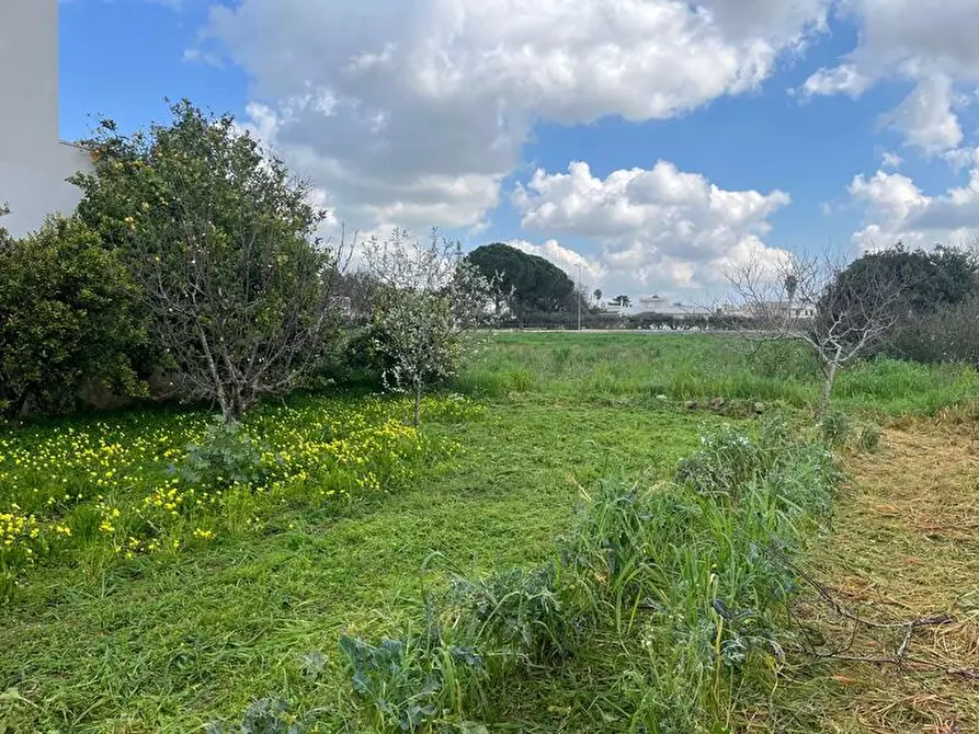 Immagine 16 di Terreno in vendita  in Via Vittorio Emanuele III a Ruffano