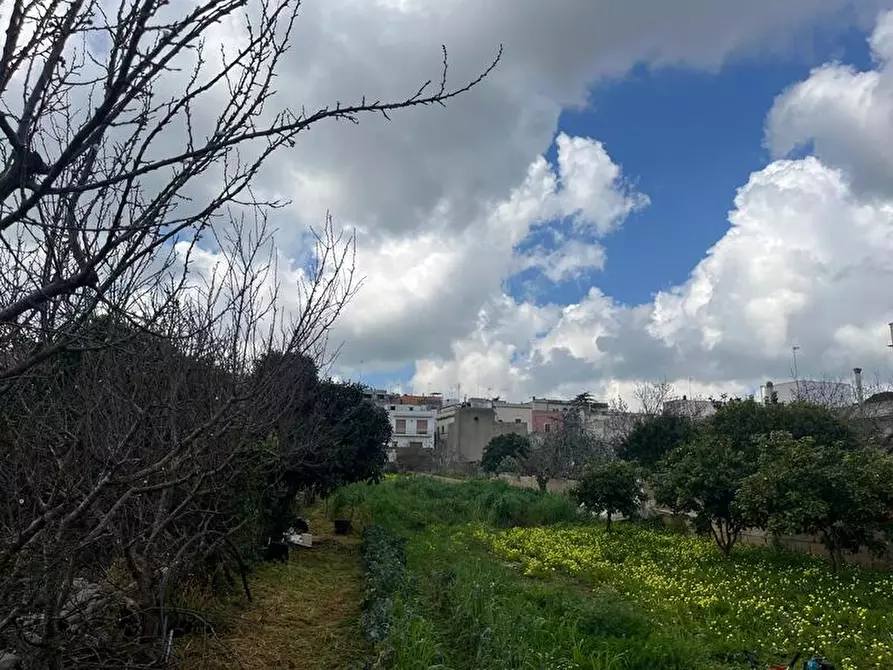 Immagine 17 di Terreno in vendita  in Via Vittorio Emanuele III a Ruffano