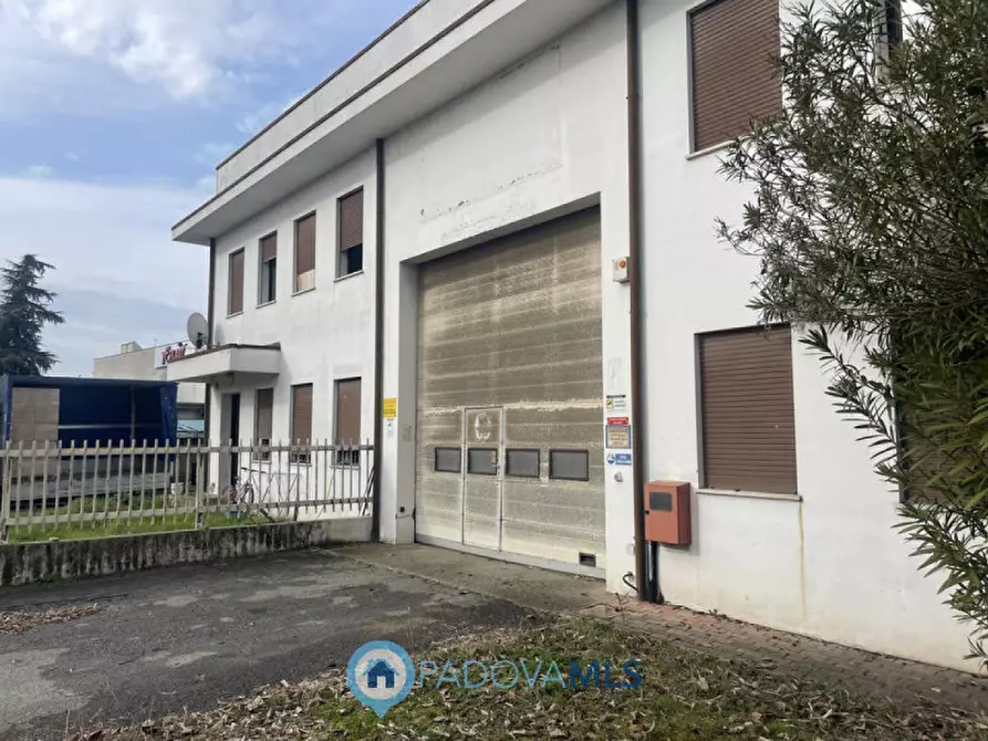 Immagine 15 di Capannone industriale in vendita  in Via Alcide De Gasperi a Saccolongo