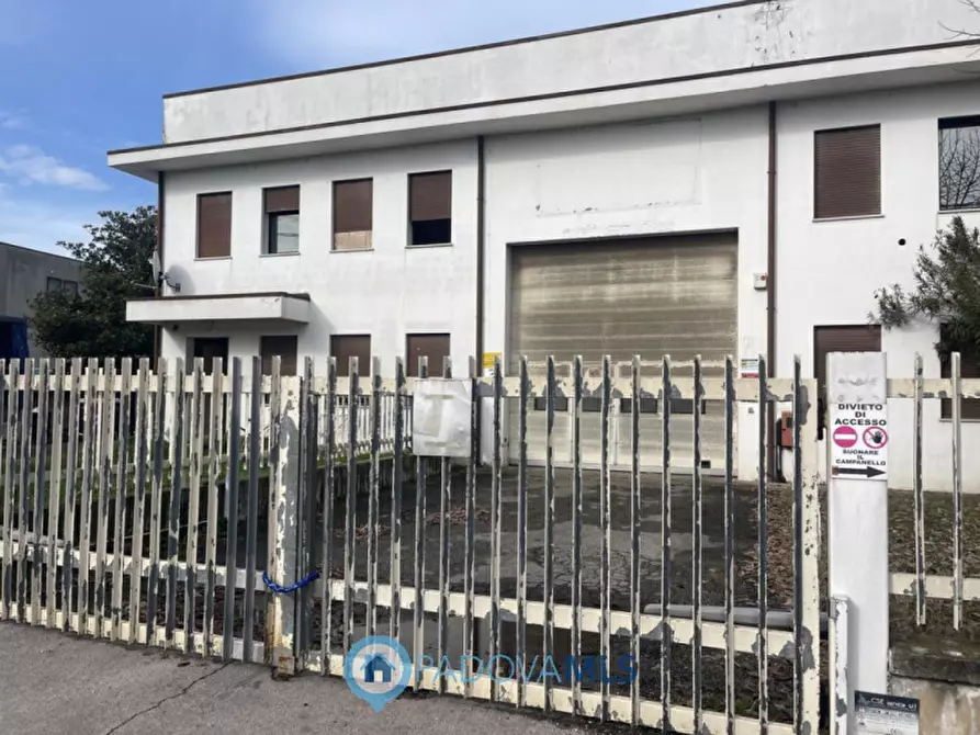 Immagine 37 di Capannone industriale in vendita  in Via Alcide De Gasperi a Saccolongo
