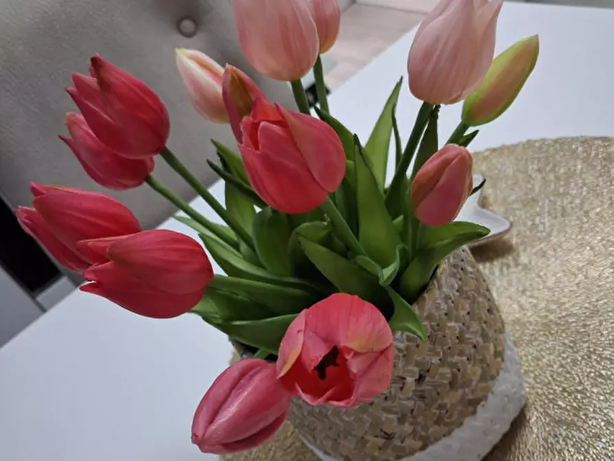 Immagine 1 di Appartamento in vendita  a Ponte San Nicolò