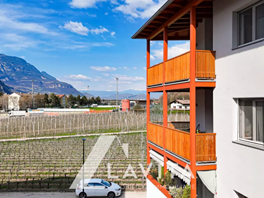 Immagine 31 di Appartamento in vendita  in Via Dante Alighieri a Salorno .Salurn.