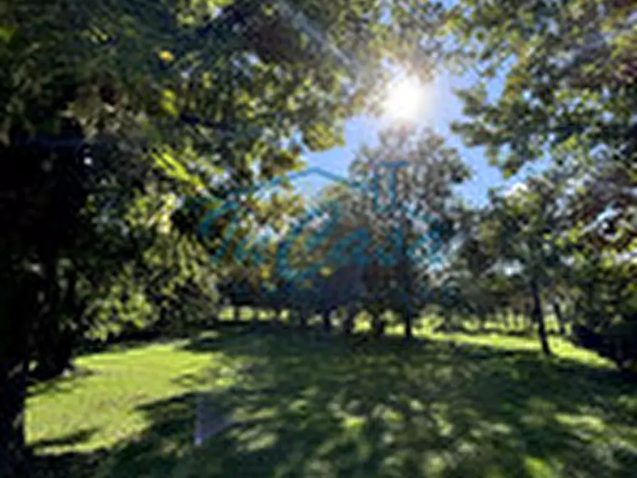 Immagine 2 di Casa indipendente in vendita  in Via Stradona a Santa Maria Di Sala