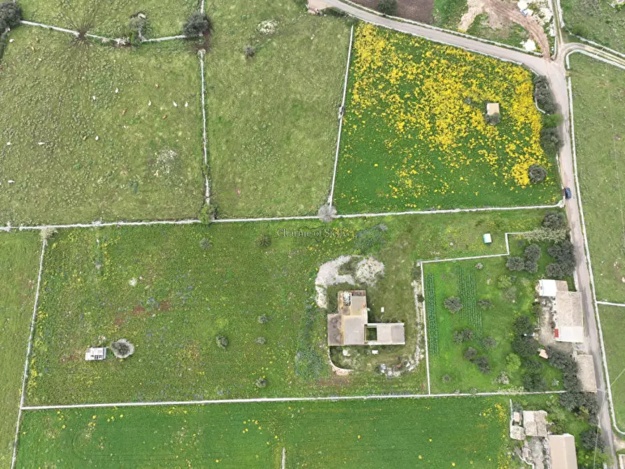 Immagine 29 di Rustico / casale in vendita  a Modica