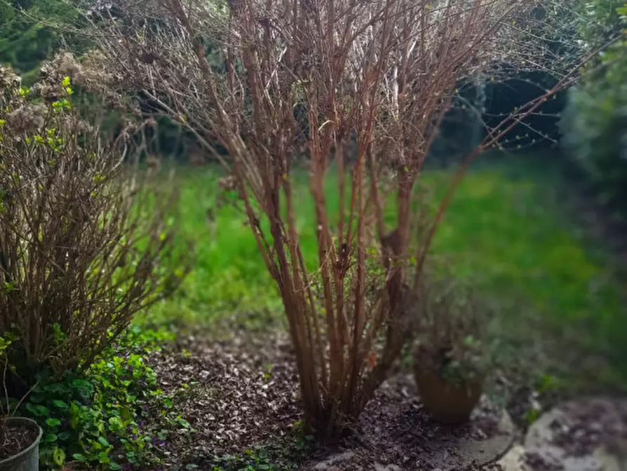 Immagine 3 di Villetta a schiera in vendita  in Via Caporello a Padova