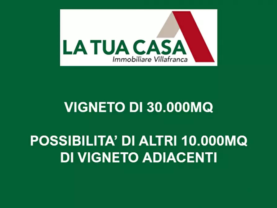 Immagine 1 di Terreno in vendita  a Sona