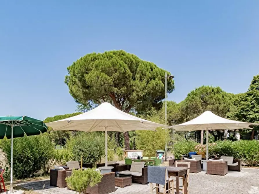 Immagine 6 di Attività commerciale in affitto  in Viale dei Pini 3 a Cesenatico