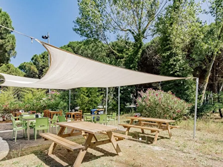 Immagine 7 di Attività commerciale in affitto  in Viale dei Pini 3 a Cesenatico