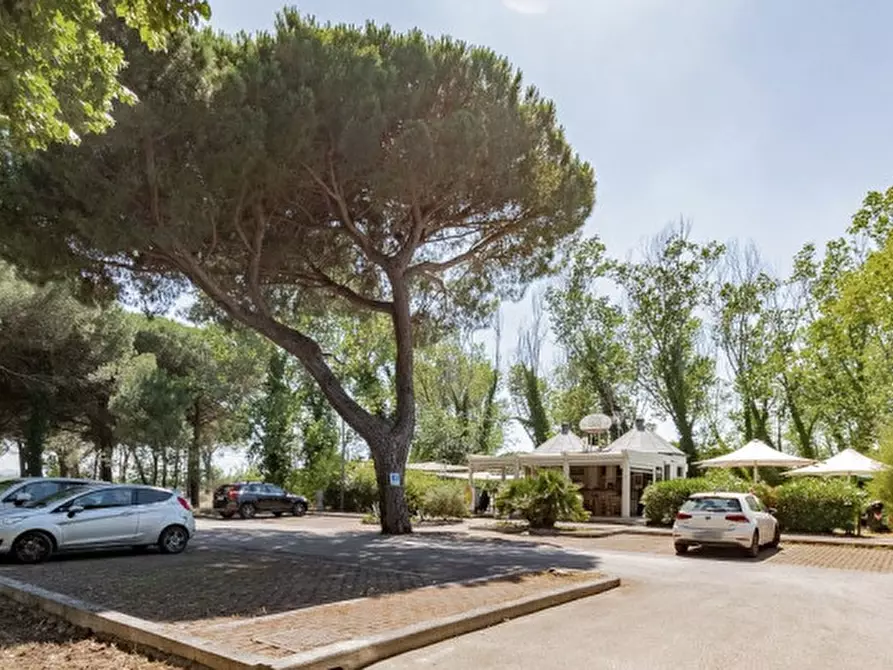 Immagine 16 di Attività commerciale in affitto  in Viale dei Pini 3 a Cesenatico