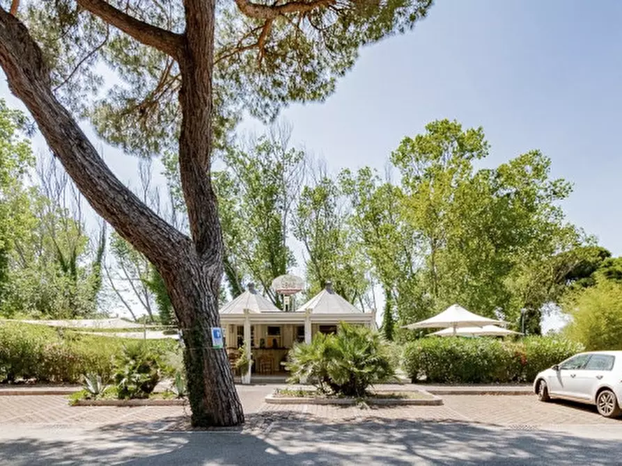 Immagine 17 di Attività commerciale in affitto  in Viale dei Pini 3 a Cesenatico