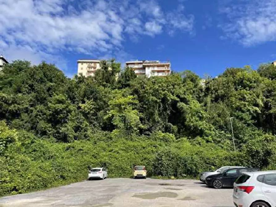 Immagine 2 di Terreno in vendita  in Viale dei Dendrofori a Belluno