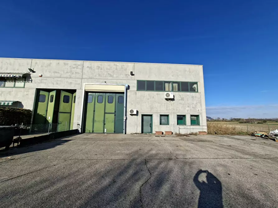 Immagine 12 di Capannone industriale in vendita  in via Leonardo da Vinci a Este