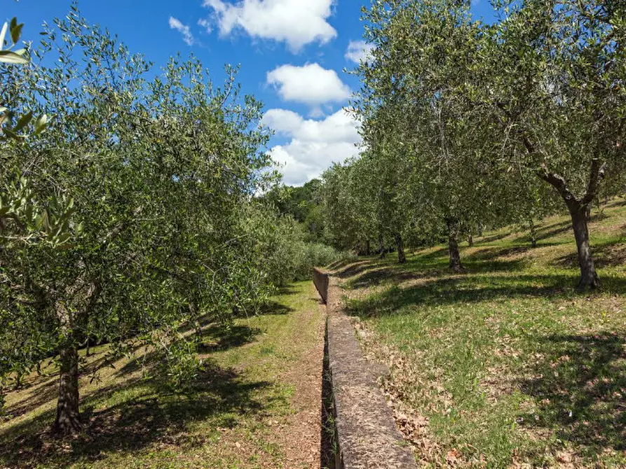 Immagine 8 di Casa indipendente in vendita  in Via Cappuccini, 5 a Passignano Sul Trasimeno