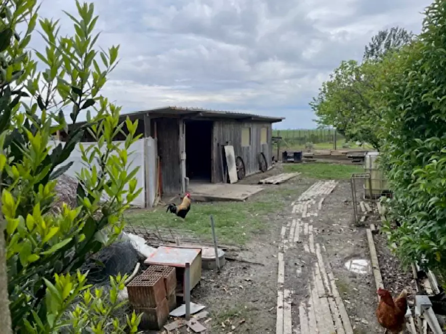 Immagine 3 di Casa indipendente in vendita  in Via Crosere, 63 a Concordia Sagittaria